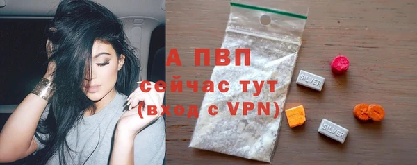 стаф Нижневартовск