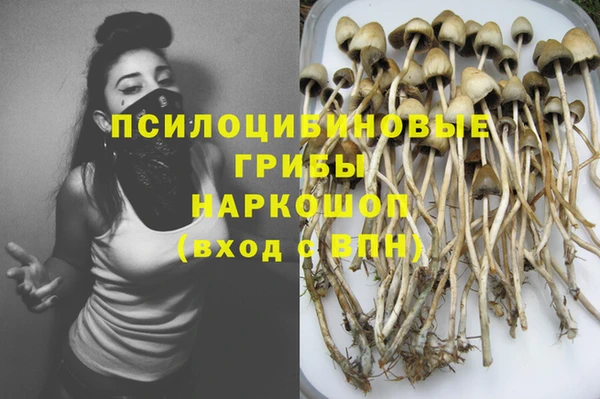 гидра Куйбышев