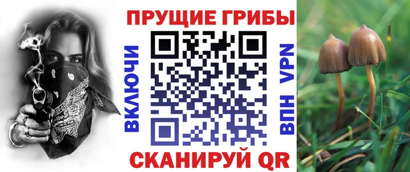 Псилоцибиновые грибы MAGIC MUSHROOMS Чердынь
